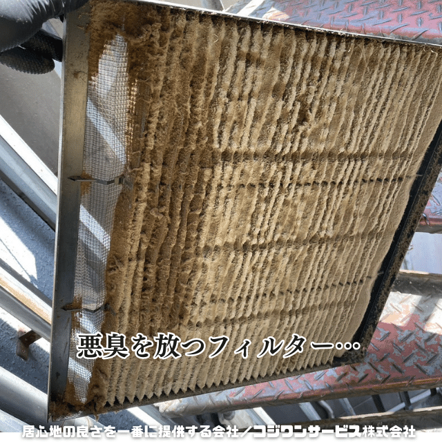 天カセエアコンからネズミの糞と死骸 - 豊富な施工事例 - エアコン 天カセエアコンからネズミの糞と死骸 - 豊富な施工事例 - エアコン