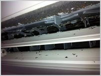 エアコン内部の胞子状のカビ