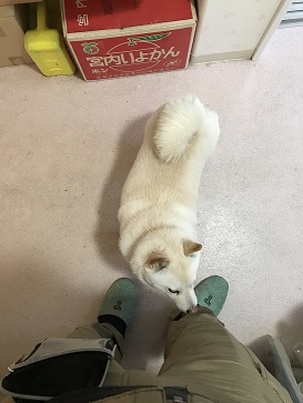 写真 2017-12-22 10 58 33