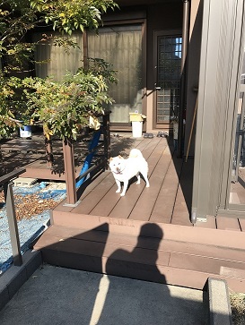 写真 2017-12-22 11 00 32