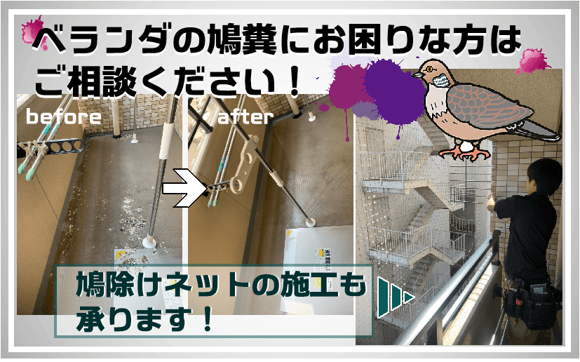 鳩糞掃除｜大阪・神戸・奈良・京都