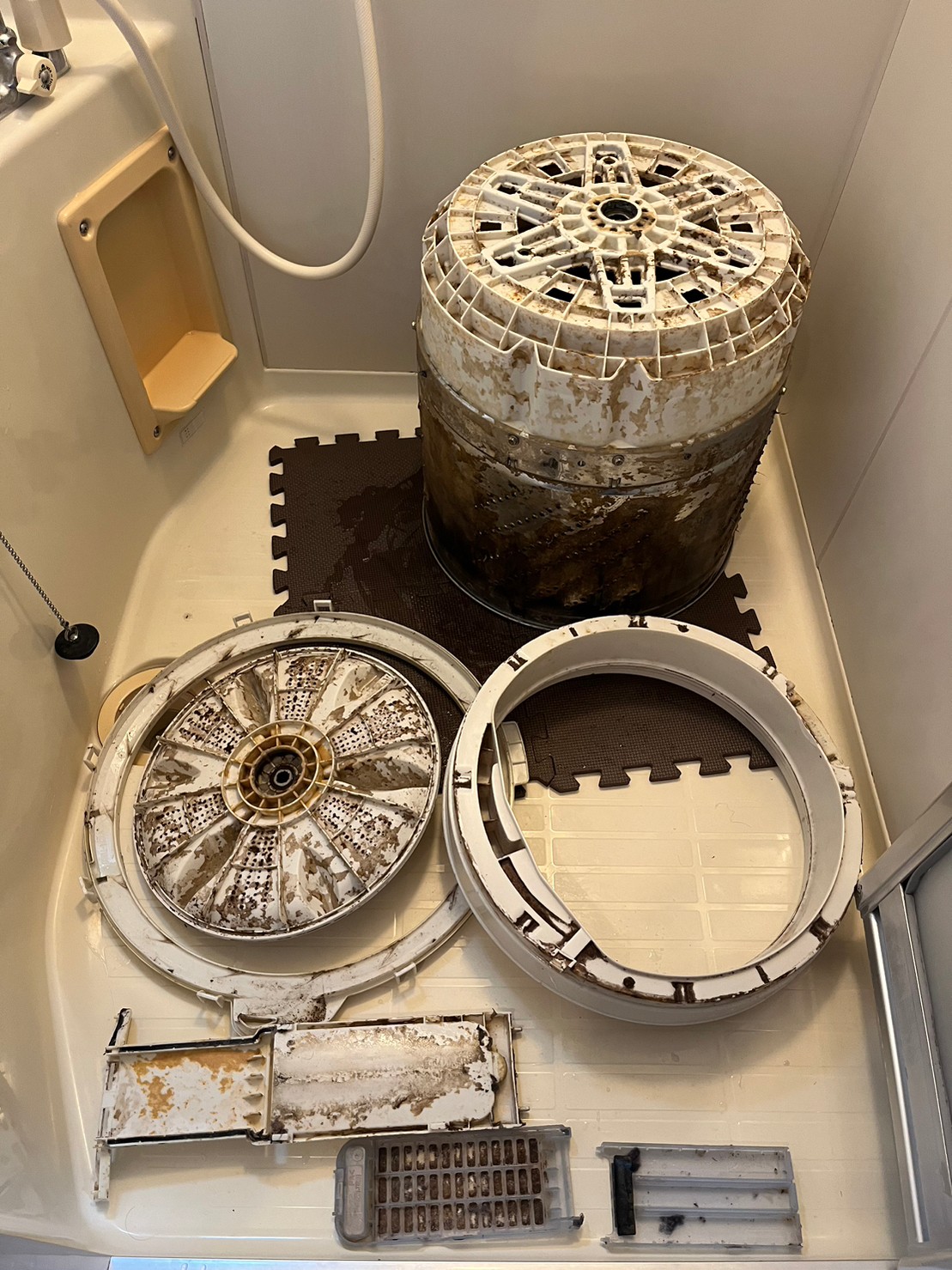 LINE_ALBUM_洗濯槽_230215_3