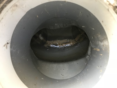 配管の状態確認