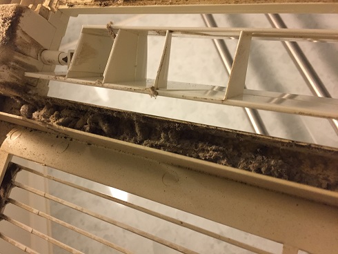 カバー裏面拡大