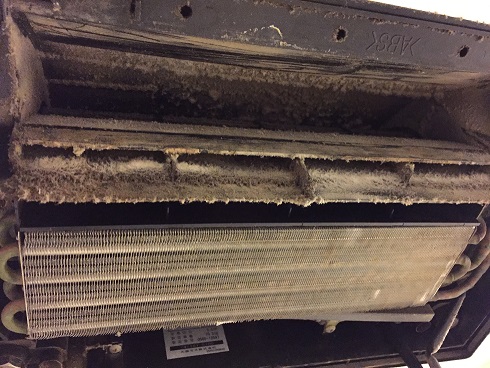 換気扇内部のホコリ