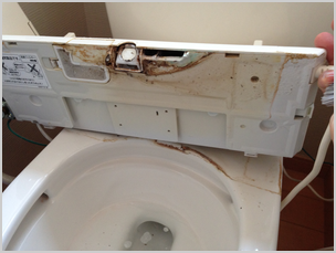 ウォシュレット便座裏洗浄前