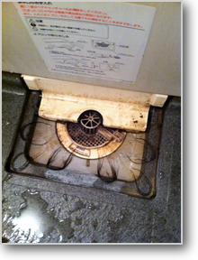 空室清掃　浴室排水トラップ内