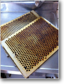 換気扇フィルター清掃前