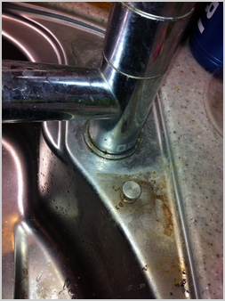 蛇口根本洗浄前