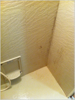 お風呂のカビ汚れ