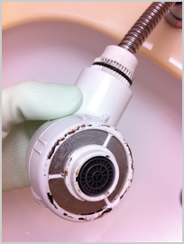 洗面台シャワーヘッド洗浄前