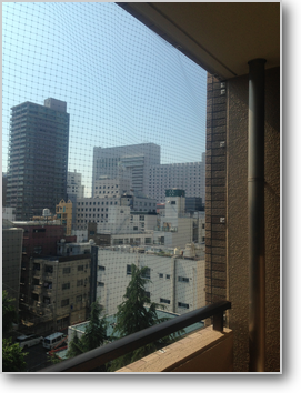 鳩除けネット施行例