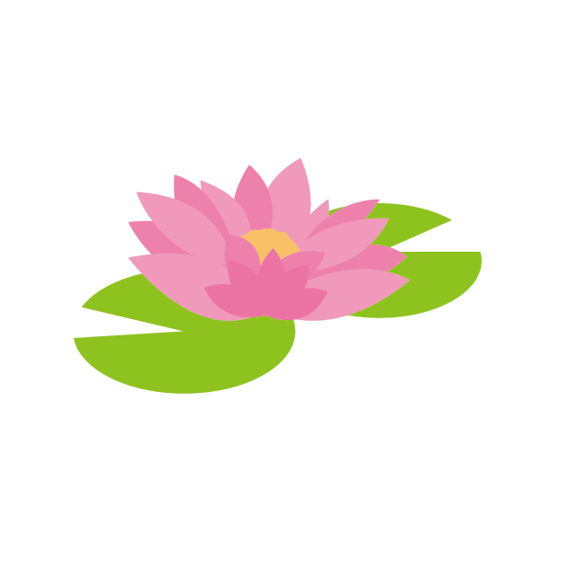 蓮