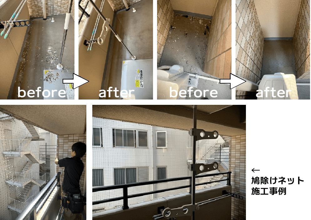 社宅鳩糞清掃＆鳩除けネット施工事例