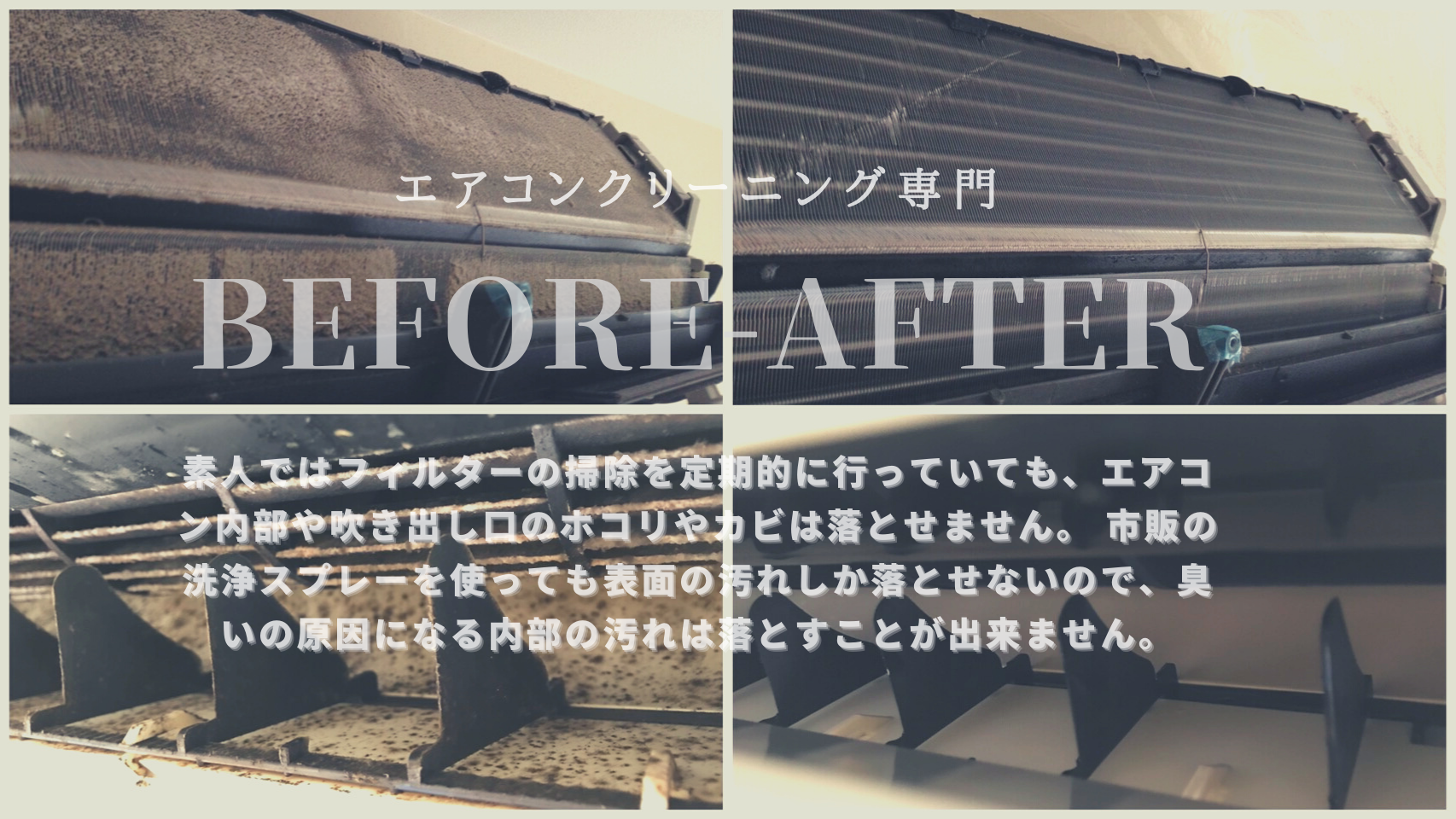画像の説明
