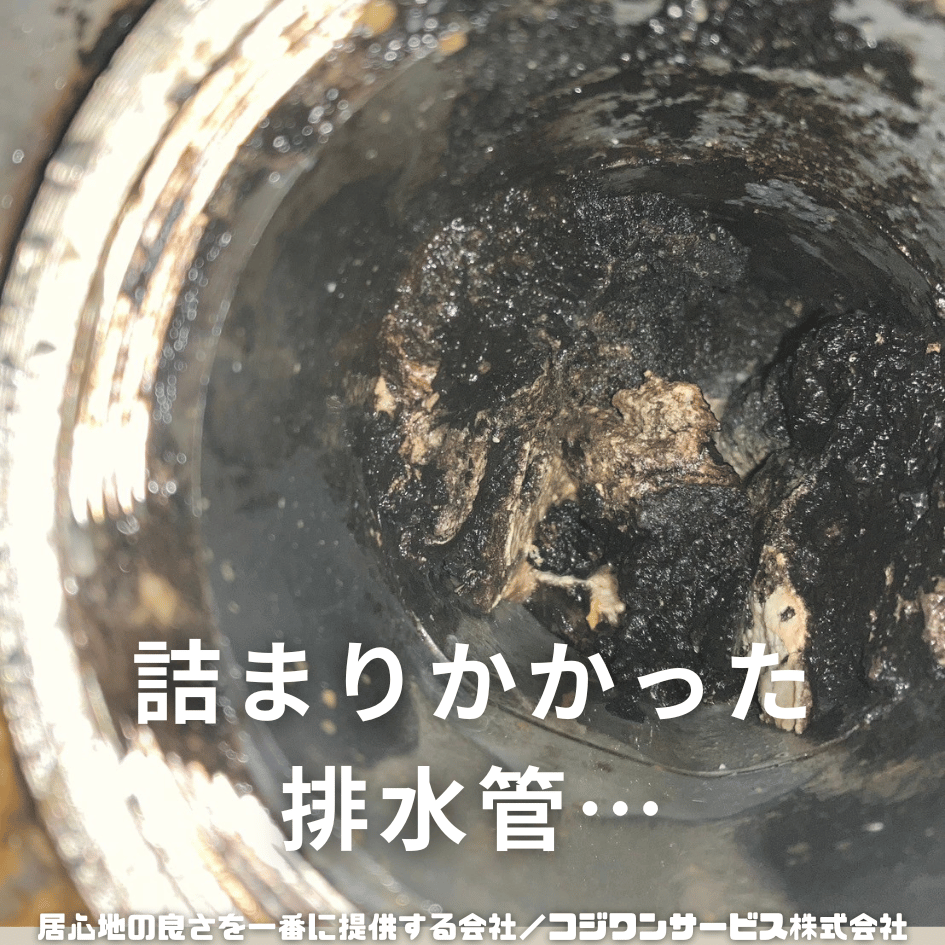 排水管に詰まった油脂汚れ