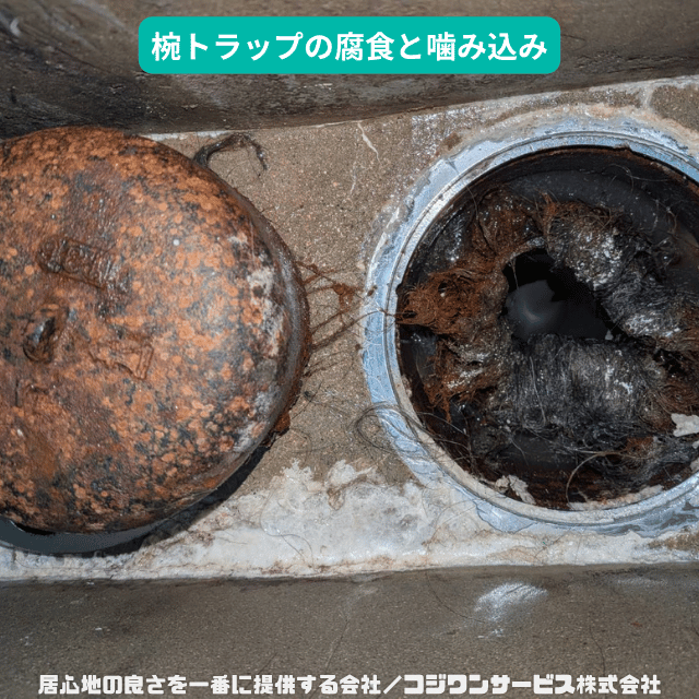 ワントラップに絡まった髪の毛ヘドロ ワントラップに絡まった髪の毛ヘドロ
