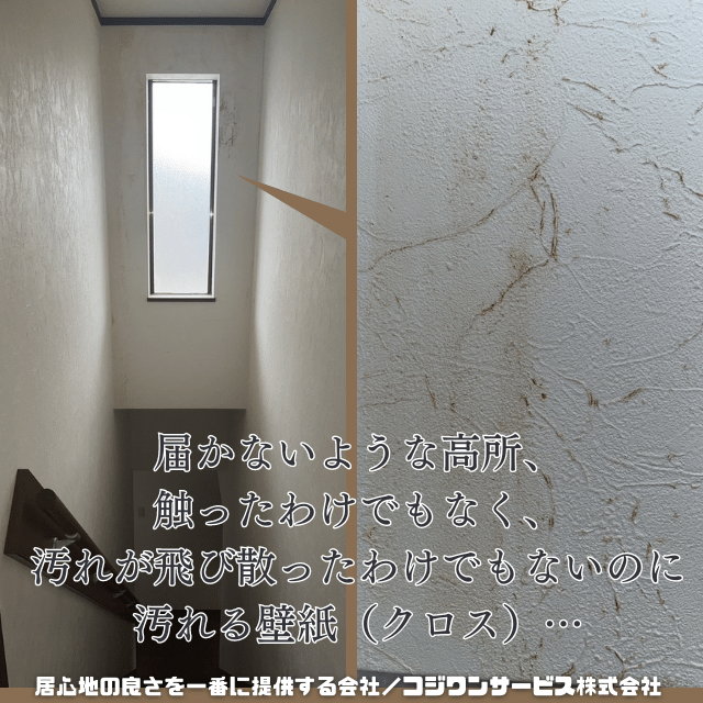 特に高所に表れる茶色いクロス汚れ 特に高所に表れる茶色いクロス汚れ