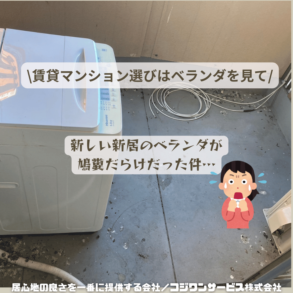新居のベランダが鳩糞だらけ 新居のベランダが鳩糞だらけ
