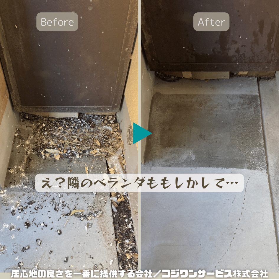 ベランダから見える隣の状況 ベランダから見える隣の状況