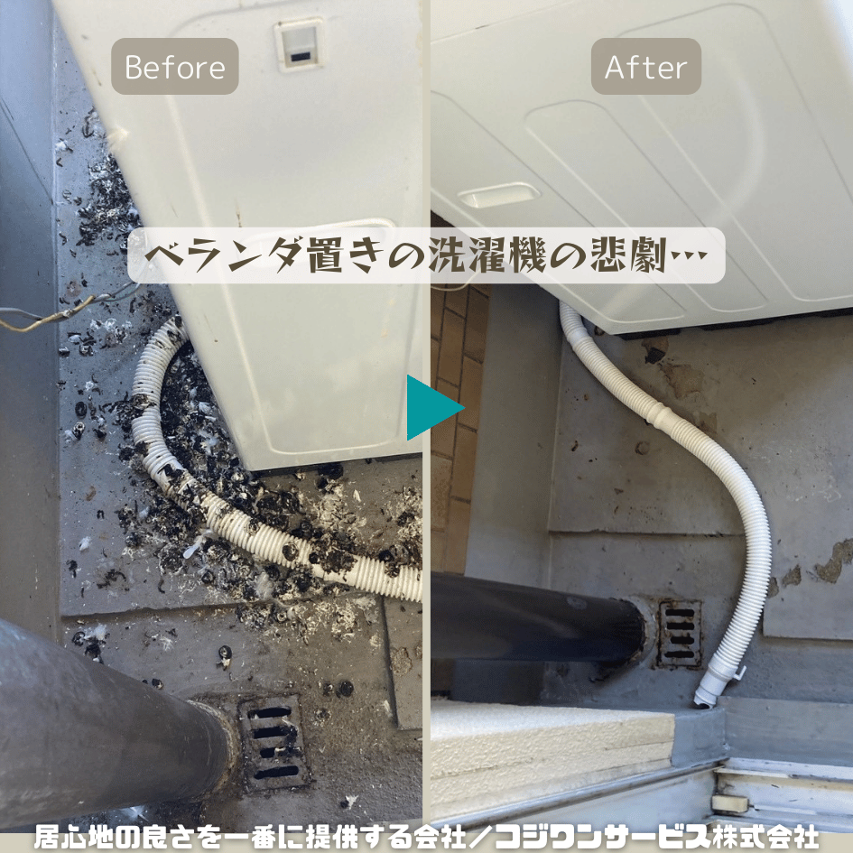 ベランダに洗濯機をマンションは鳩糞に注意 ベランダに洗濯機をマンションは鳩糞に注意