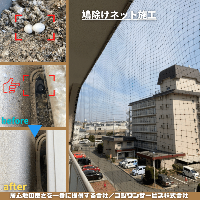 鳩の糞・卵と鳩除けネット施工