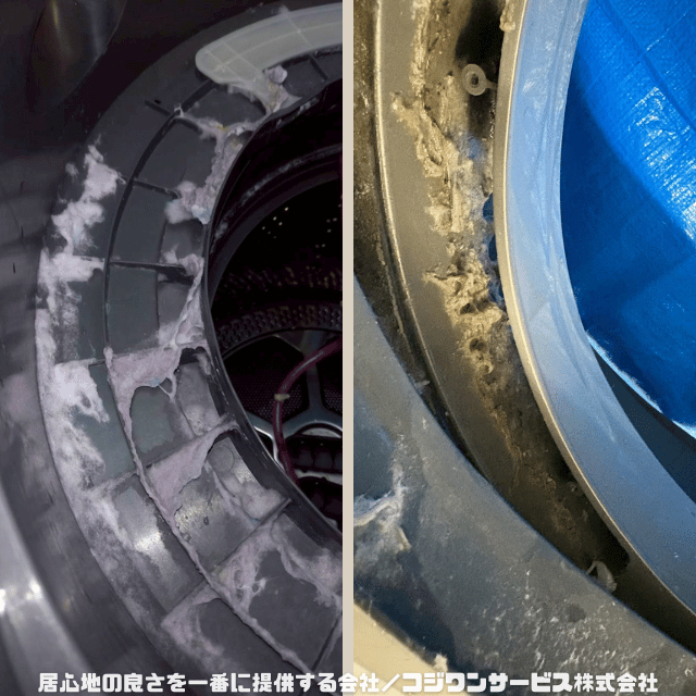 ドラム式洗濯機内部のホコリ