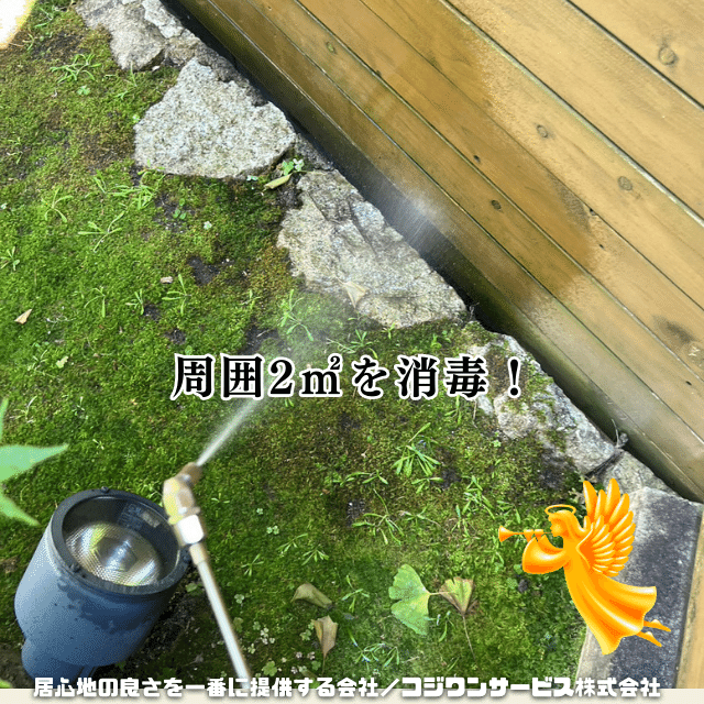 消毒 消毒