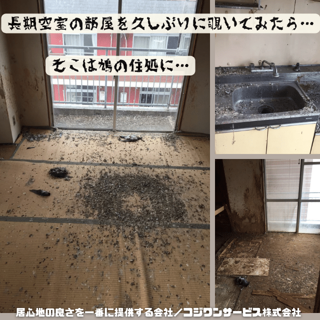 長期空室の室内が鳩糞で汚損