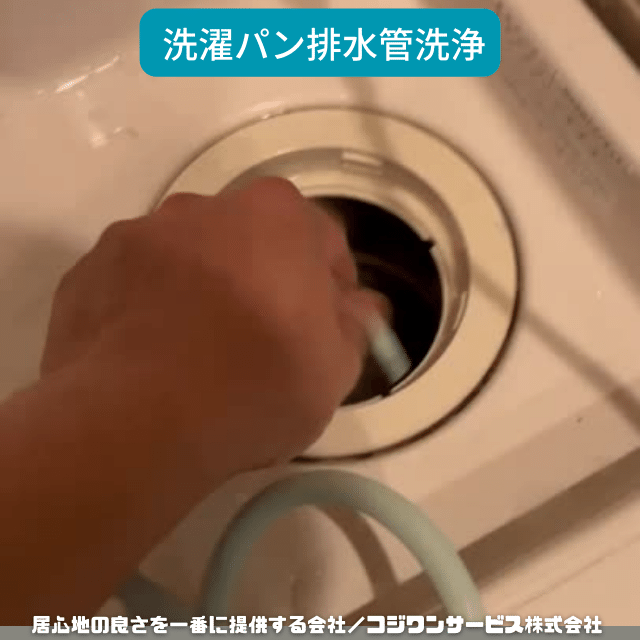 洗濯排水管を洗浄