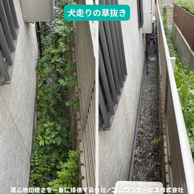 犬走りの草抜き