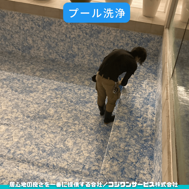 プール洗浄