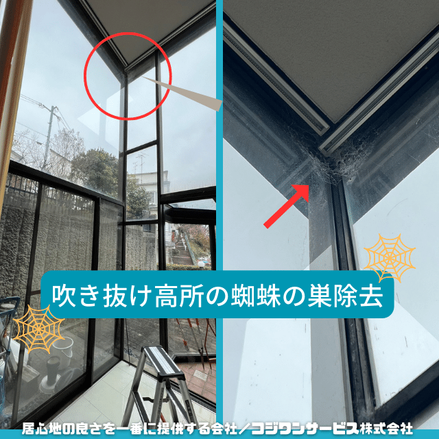 吹き抜け高所の蜘蛛の巣清掃