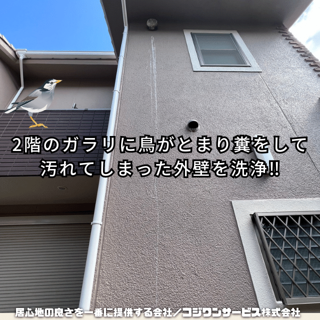 高所の鳥糞汚れ
