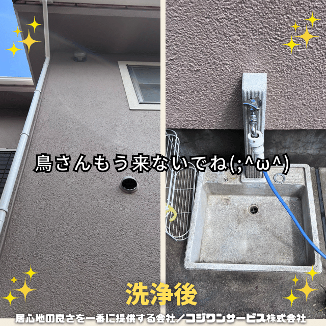 鳥糞洗浄後