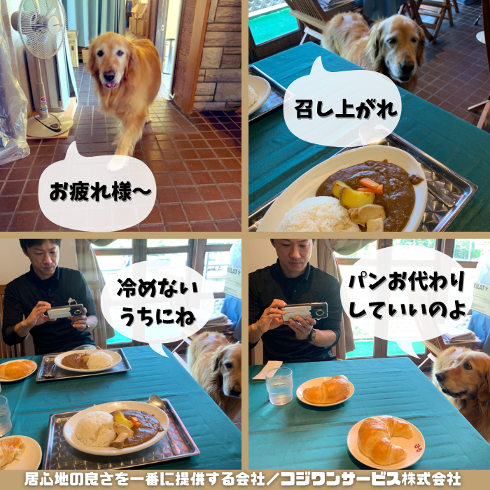 看板犬の店主
