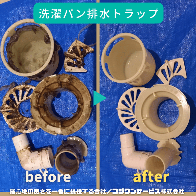 ドラム洗濯機洗濯パン排水トラップ洗浄