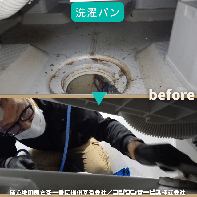 ドラム洗濯機洗濯パン洗浄