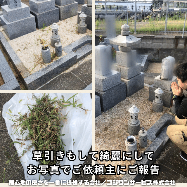 お墓の草引き