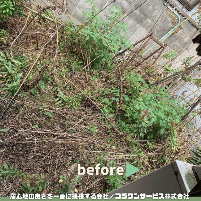 草引き前 草引き前