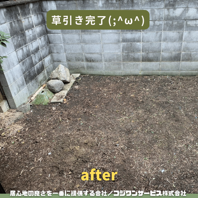 草引き後 草引き後