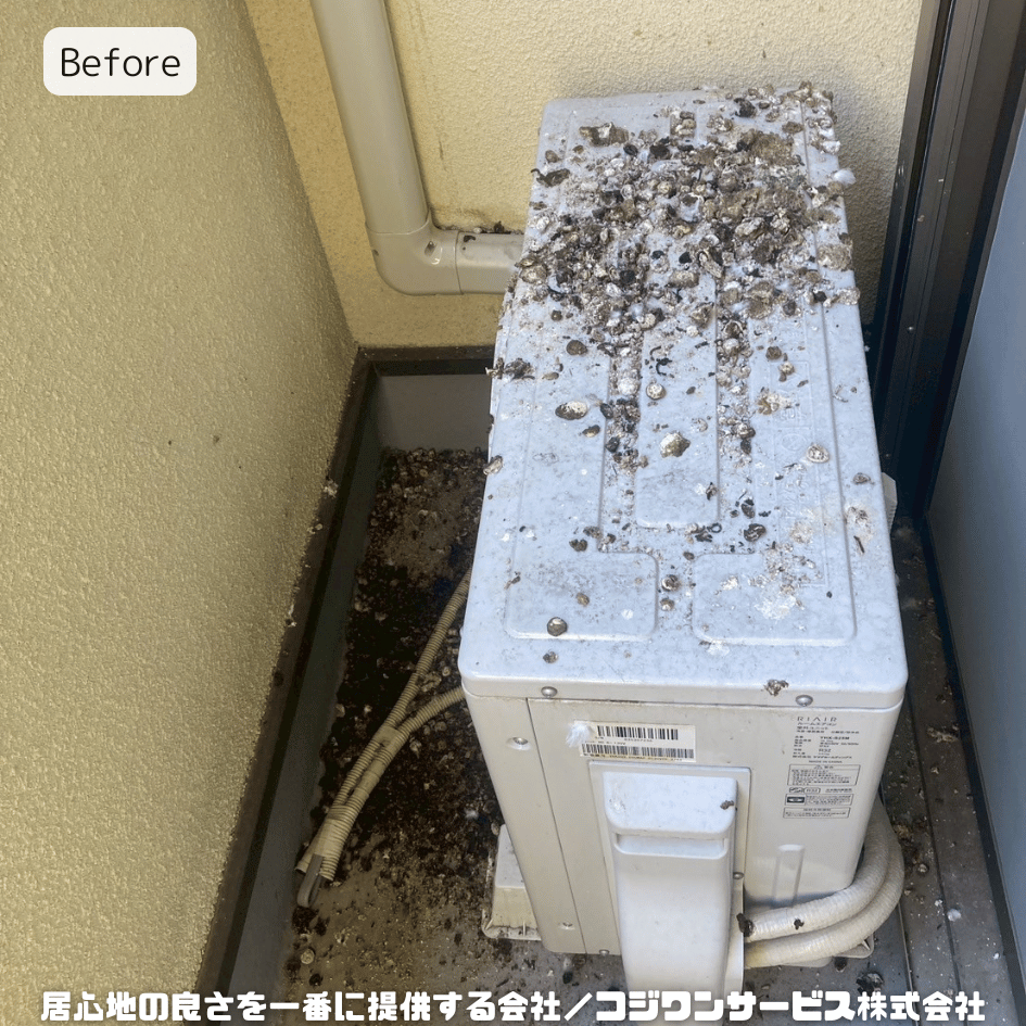 室外機周辺に多い鳩糞