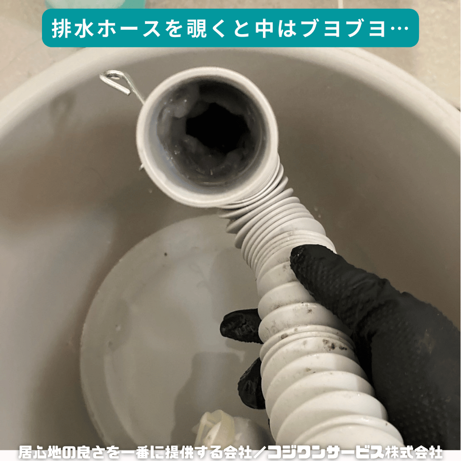 洗濯排水ホースの内側にゲル状の汚れ