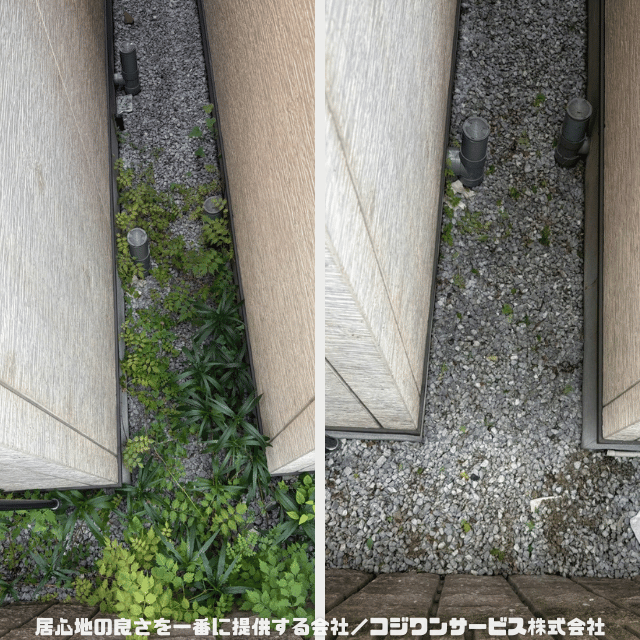 東大阪で草抜き