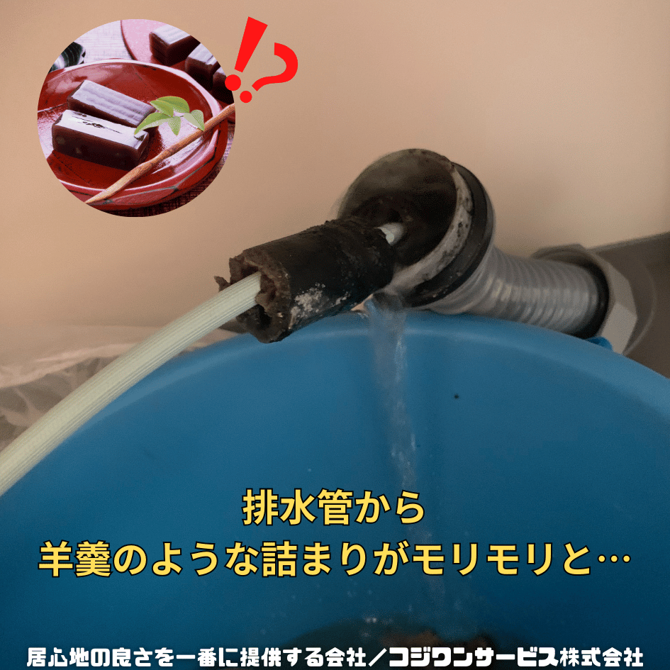 排水管から羊羹のような詰まり汚れ