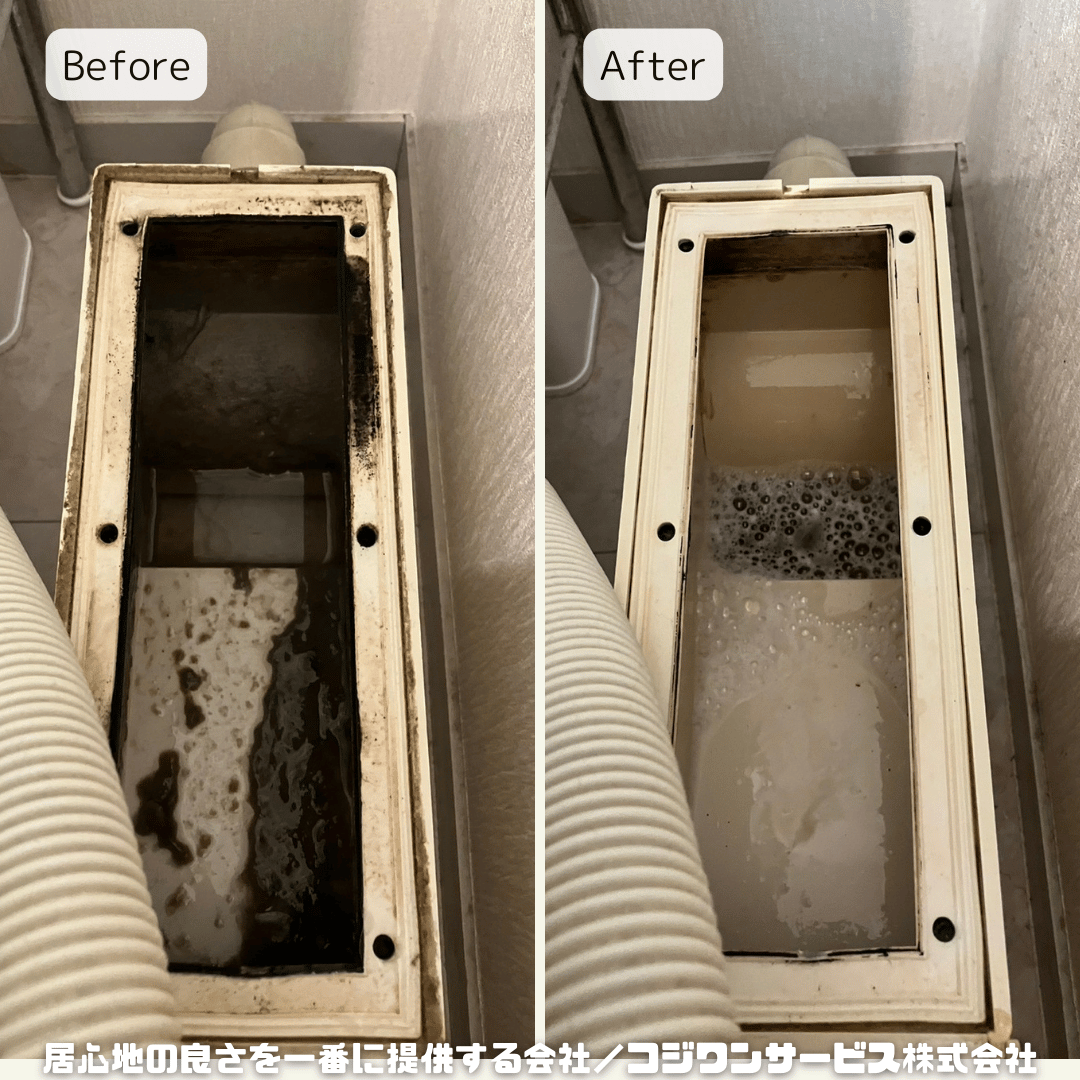 洗濯機チャンバーも洗浄 洗濯機チャンバーも洗浄