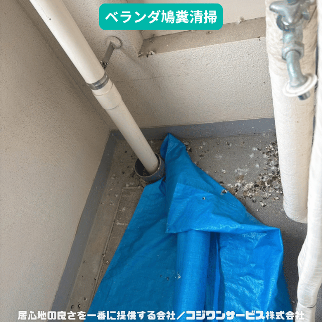 ベランダ鳩糞洗浄前 ベランダ鳩糞洗浄前