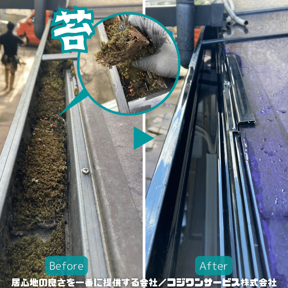 カーポートの雨樋の苔清掃