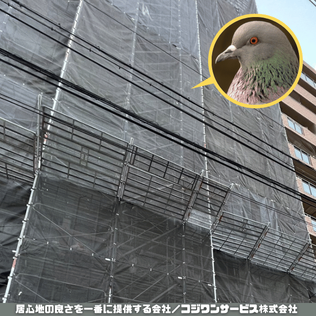 画像の説明 画像の説明