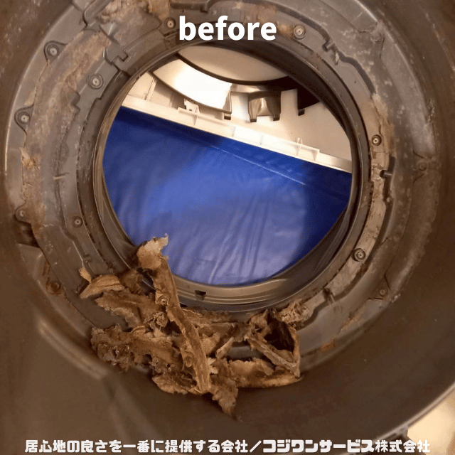 槽カバー内のホコリ 槽カバー内のホコリ